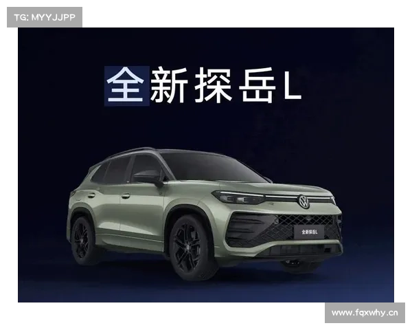 全新探岳L新车到店